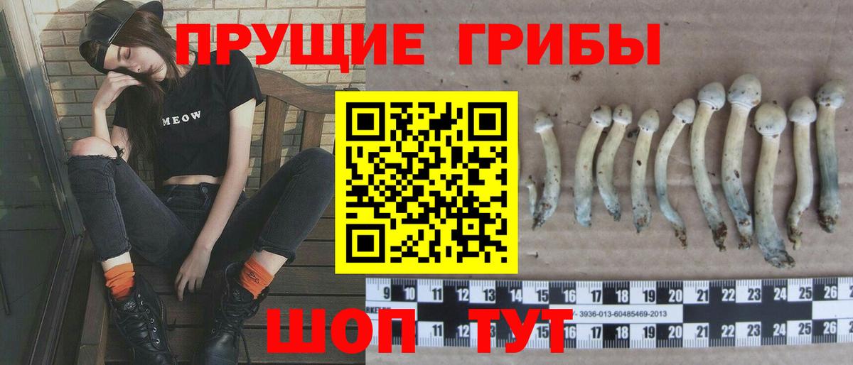 Туапсе  Галлюциногенные грибы Magic Shrooms  Вход с VPN 